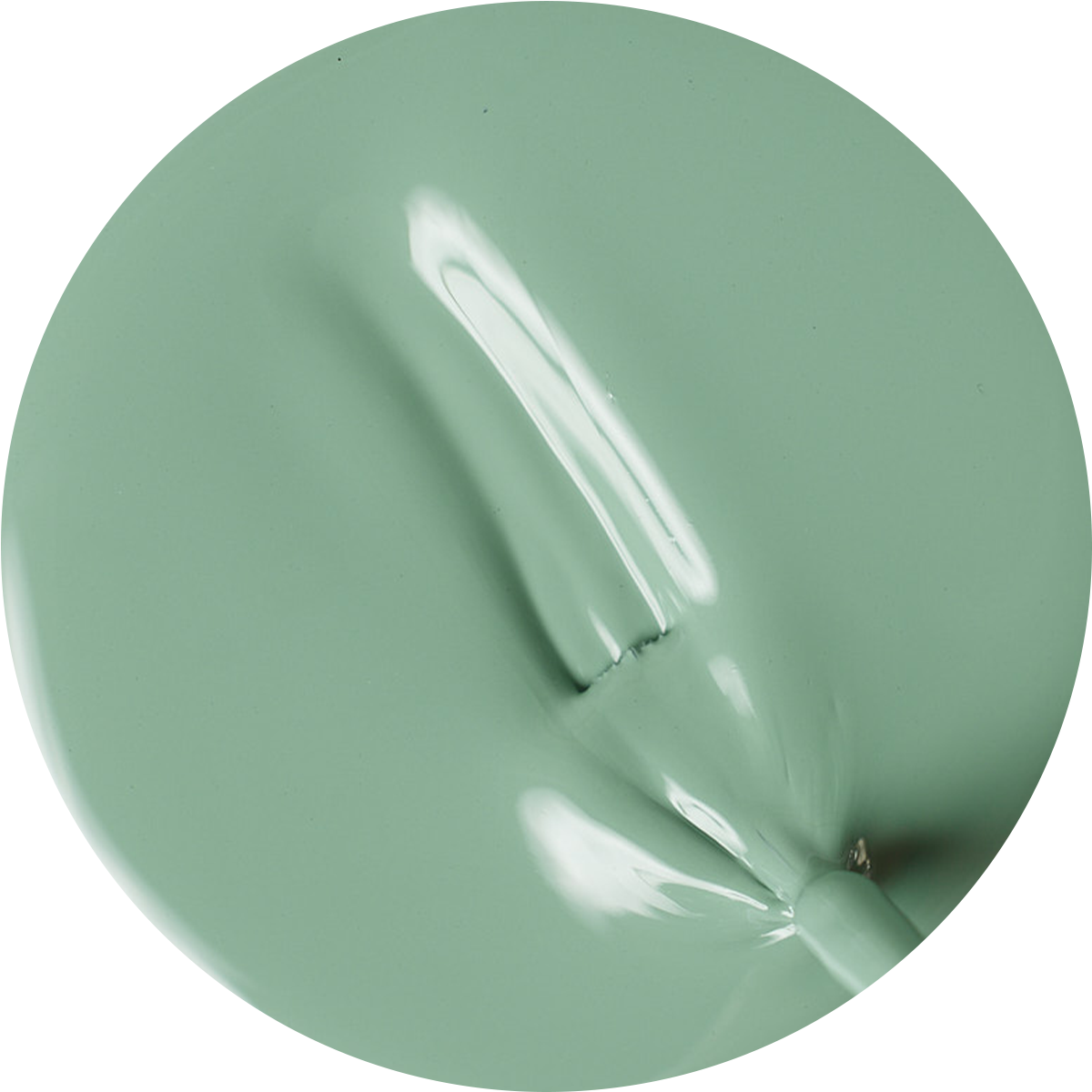 paint swatch of fern green nail polish